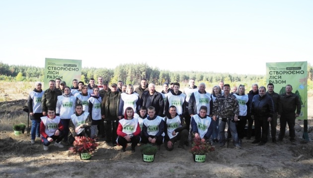 Студенти висадили на Черкащині сосново-дубовий ліс