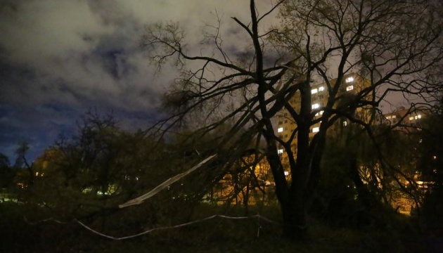 Ураганы в Польше унесли четыре жизни, среди погибших - украинец