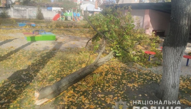 У Кременчуці померла 4-річна дівчинка, на яку в дитсадку впало дерево