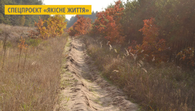 На Черкащині для захисту лісів від пожеж збільшили кількість мінералізованих смуг