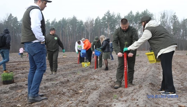«Зелена країна»: на Житомирщині почалась акція з висадки дерев