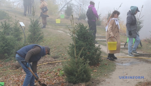 Українці за добу висадили 3,8 мільйона дерев