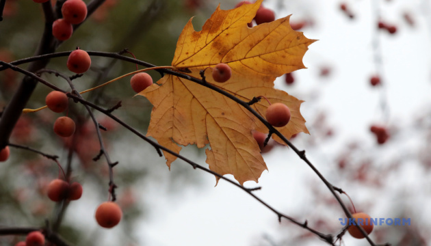 Із середини тижня в Україну прийде похолодання - синоптикиня