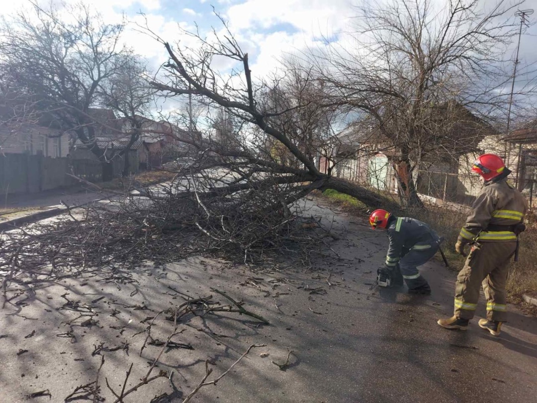 На Черкащині вітер повалив дерево на вантажівку