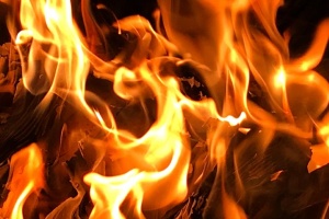 На Черниговщине в результате пожара погибли трое детей и взрослый