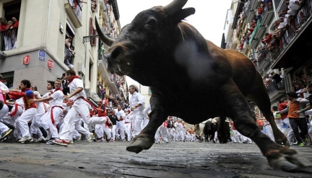 В Іспанії знову скасували забіги з биками через смерть одного з учасників