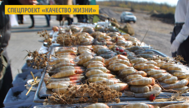 La première ferme d'élevage de crevettes du Pacifique en Ukraine inaugurée dans la région de Mykolaiv
