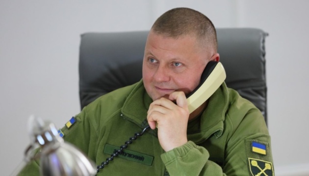Zaluzhny, Wolters discuss response to Russian aggression