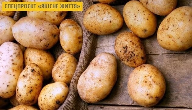 Пара з Нової Зеландії викопала 8-кілограмову картоплину