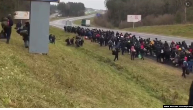 Велика колона мігрантів у Білорусі прямує до польського кордону
