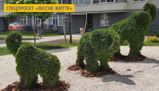 Мешканці багатоповерхівки у Львові облаштували сад з топіарними фігурами