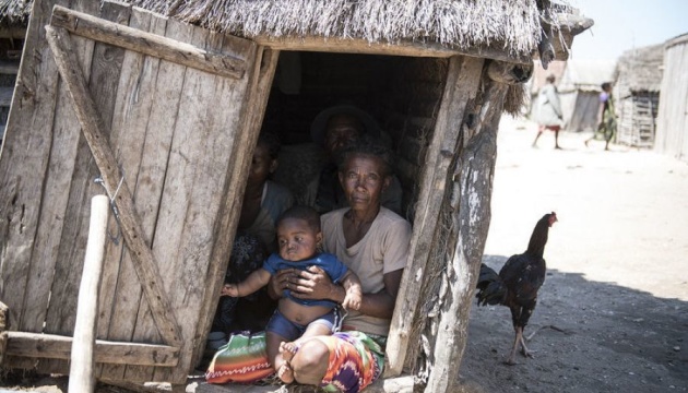 Голод на Мадагаскаре: люди едят кактусы и саранчу