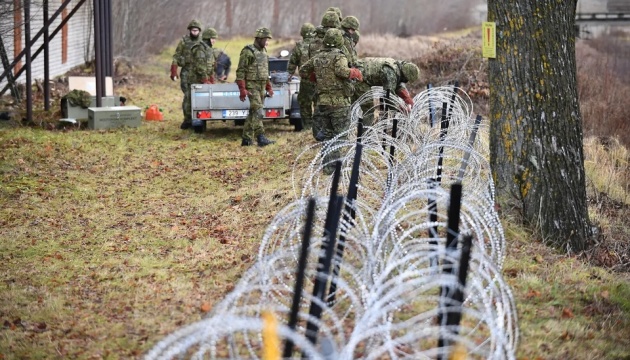 Естонія почала будувати огорожу на кордоні з РФ