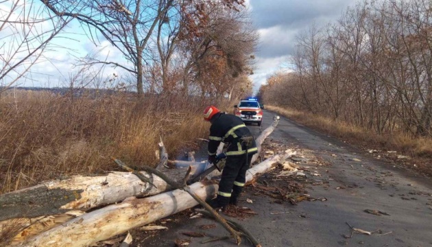 На Черкащині вітер повалив дерево на вантажівку