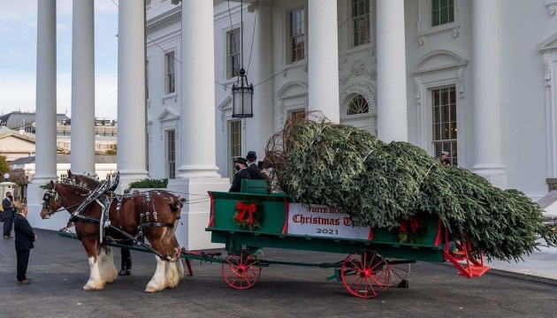 До Білого дому на величезному візку «приїхала» різдвяна ялинка