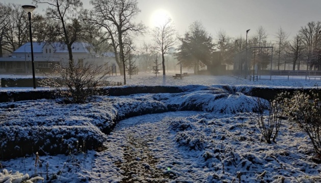 В Нидерландах первый снег укрыл часть страны