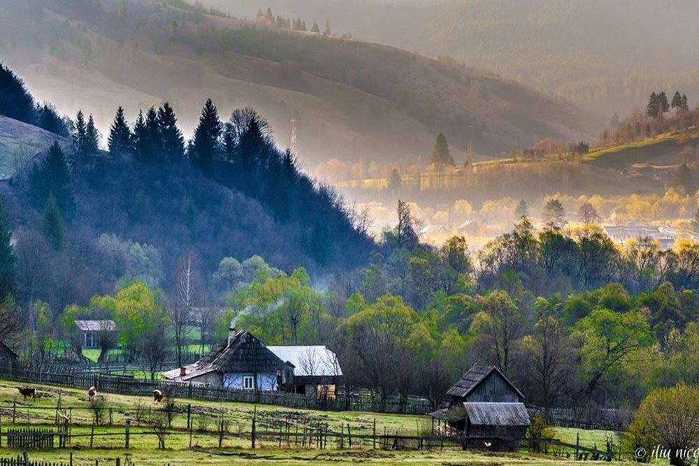 Bukovina