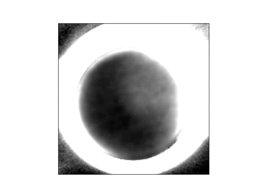 Темна сторона Плутона, оточена яскравим кільцем сонячного світла, розсіяного серпанком в його атмосфері. Дослідники з команди New Horizons змогли створити це зображення, використовуючи 360 знімків камери LORRI. На фото –  плутонова «зима» / NASA / Johns Hopkins APL / Southwest Research Institute / NOIRLab