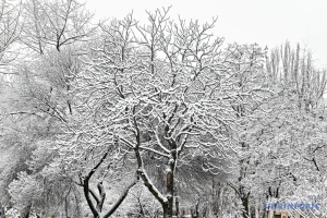 В Україні на вихідних очікується вогка й похмура погода з невеликими нічними морозами