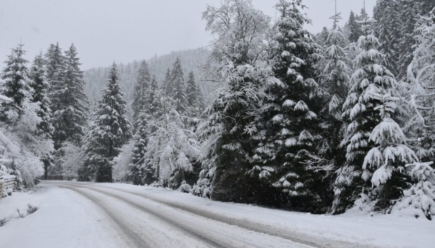 В нацпарке «Синевир» показали фото сказочной зимы на Верховине