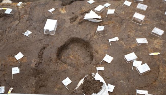 Археологи знайшли найбільший у Скандинавії будинок часів Залізної доби