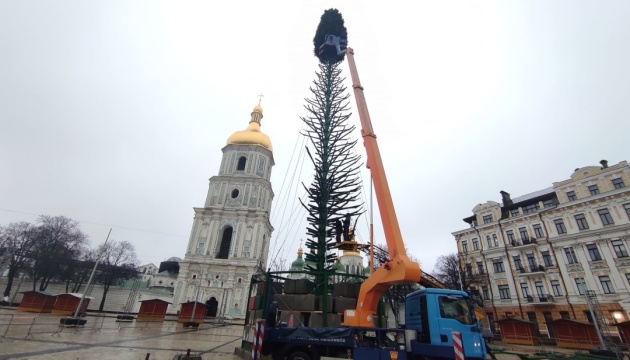 На Софийской площади в Киеве устанавливают главную елку