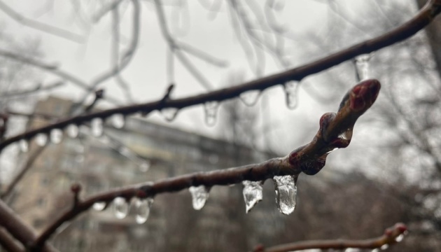 Дожди в Украине прогнозируют к выходным, в Карпатах - мокрый снег