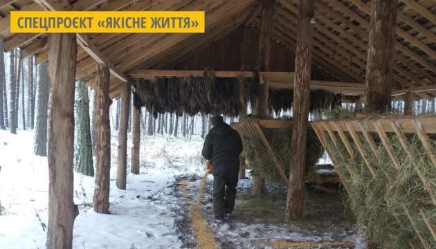 У лісах Житомирщини для диких тварин облаштували 167 підгодівельних майданчиків