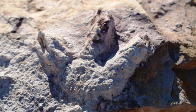 Геологи знайшли сотні відбитків лап динозаврів у Польщі