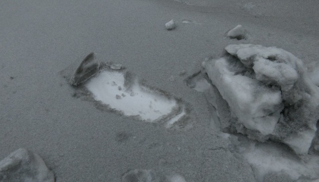Шмигаль прокоментував появу «чорного» снігу біля Бурштинської ТЕС