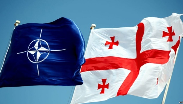 Шлях Грузії до НАТО включатиме план дій щодо членства - ЗМІ
