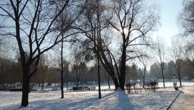 В Україні теплішає — завтра вдень до +7°, подекуди опади