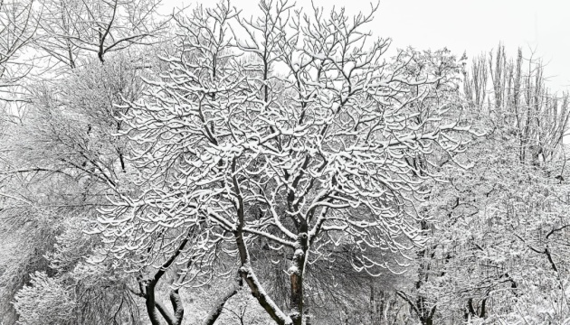 В останні вихідні січня в Україні очікується мокрий сніг