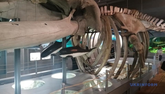 В Херсоне после ремонта открыли Музей природы