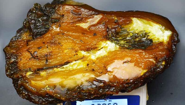 Унікальна знахідка для всього світу: на Рівненщині знайшли 5-кілограмовий шматок бурштину