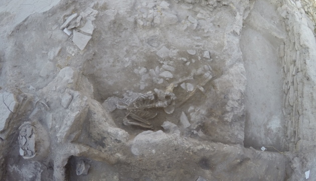 У Туреччині знайшли останки юнака, загиблого під час цунамі 3600 років тому