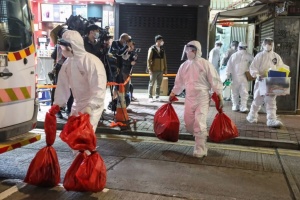 В Гонконге уничтожат 2000 хомяков – предполагают, что животные передают штамм Дельта человеку