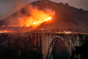 У Каліфорнії стрімко розширюється лісова пожежа, яка вже охопила 607 гектарів
