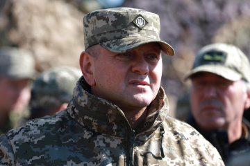 Zaluzhny: La realización de operaciones de defensa en Mariupol no es un tema de debate público