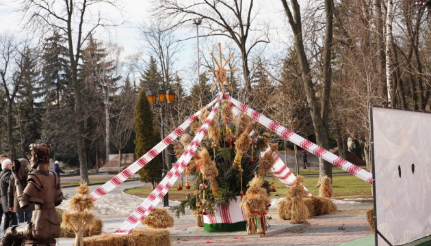У центрі Вінниці до Різдва встановили вертеп, зірки та триметрового дідуха