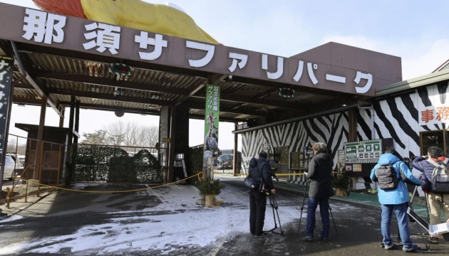 В Японии тигр ранил трех работников сафари-парка