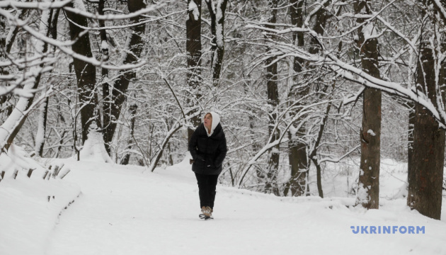  Украине прогнозируют пятницу с мокрым снегом, в Карпатах — метель
