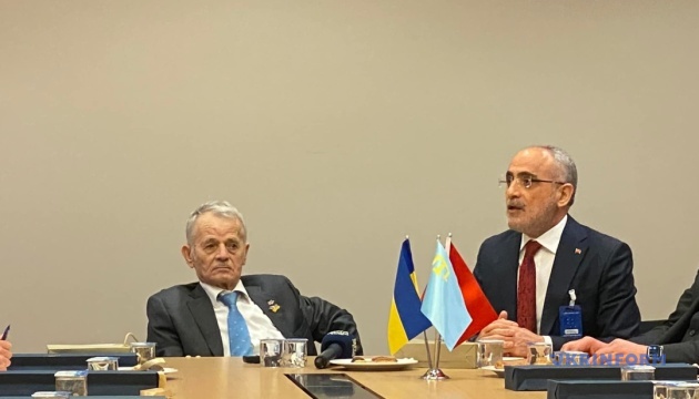 Джемілєв сподівається, що Туреччина координуватиме свої дії у межах ПАРЄ з Україною