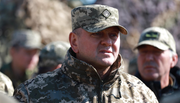 Zaluzhny: La realización de operaciones de defensa en Mariupol no es un tema de debate público