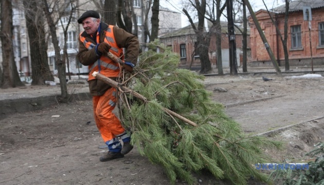 В Днипре начали утилизацию новогодних елок