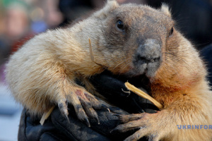 Шахти ДТЕК під атаками рф| Трамп проти Греммі, до чого Епштейн?| Стрітення Господнє і прогноз Бабака