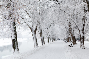На Закарпатті рекордні за останні 20 років снігопади