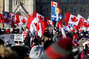 Штати пропонують Канаді допомогу в припиненні COVID-протестів на кордоні
