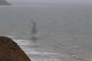 Ворожі дрони намагаються розвідувати узбережжя Чорного моря та Дунаю