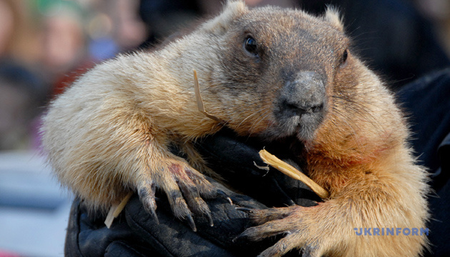 Шахти ДТЕК під атаками рф| Трамп проти Греммі, до чого Епштейн?| Стрітення Господнє і прогноз Бабака